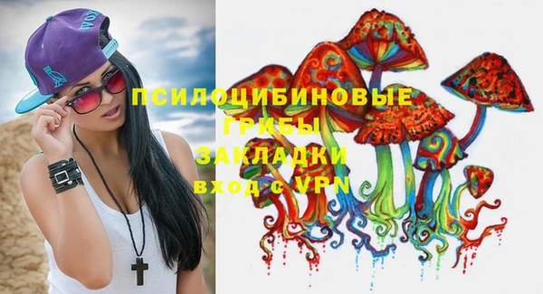 МДПВ Зеленокумск