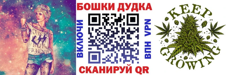 Купить закладки  Дубовка  Бошки Шишки марихуана 